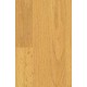 Haya Tabla. 8mm