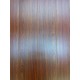 GREAT JATOBA