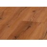 CENTURY OAK