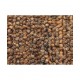 SAFRON 452