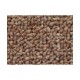 NUTS 33293