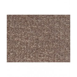 Attic Beige 22373