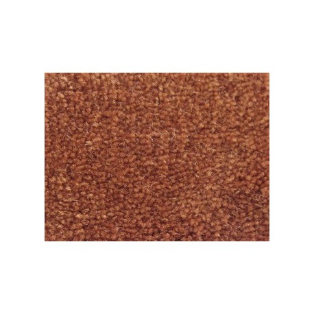Orange Rust 13048