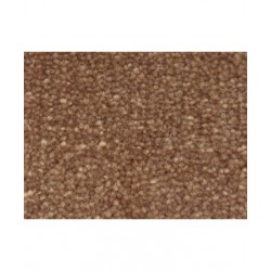 Posh Almond 2631