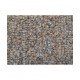 Acorn 03276