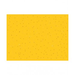 Century Amarillo