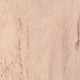 Carrara 561