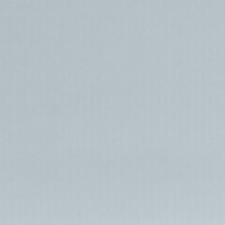 Shear Elegance Regular Grey A110