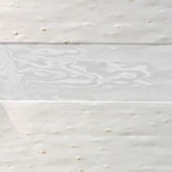 Shear Elegance Contempo Ivory